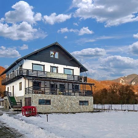 Rîşnov Casa Georgescu酒店 外观 照片