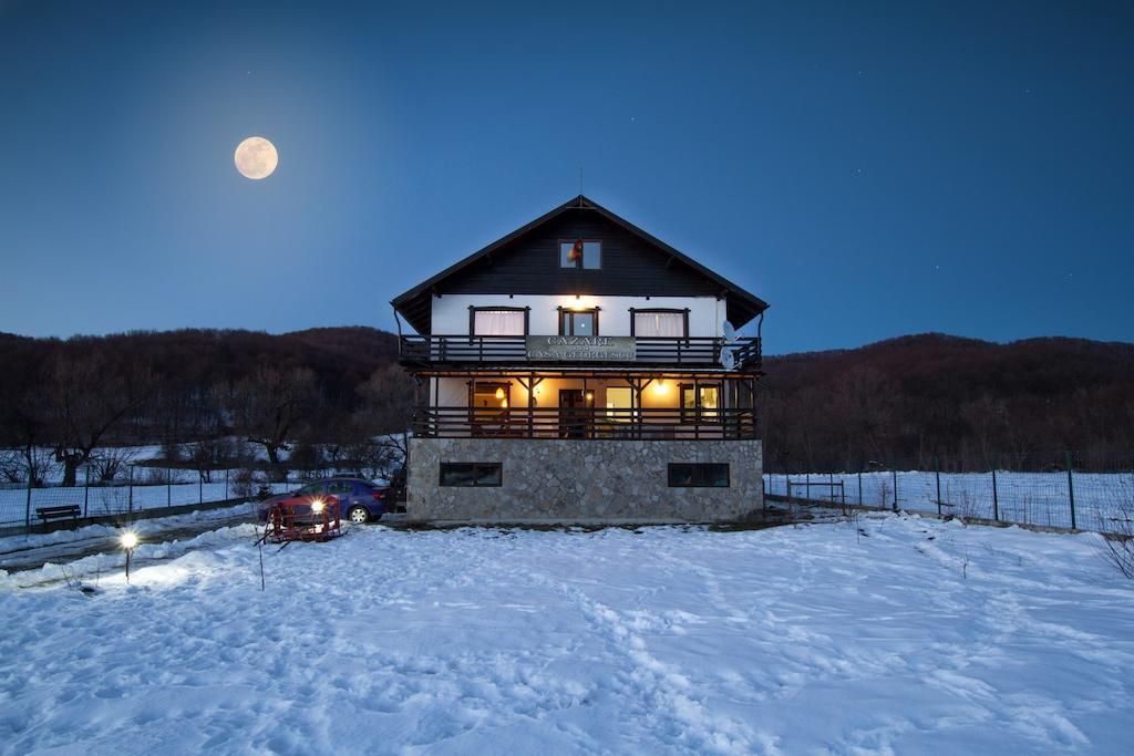 Rîşnov Casa Georgescu酒店 外观 照片